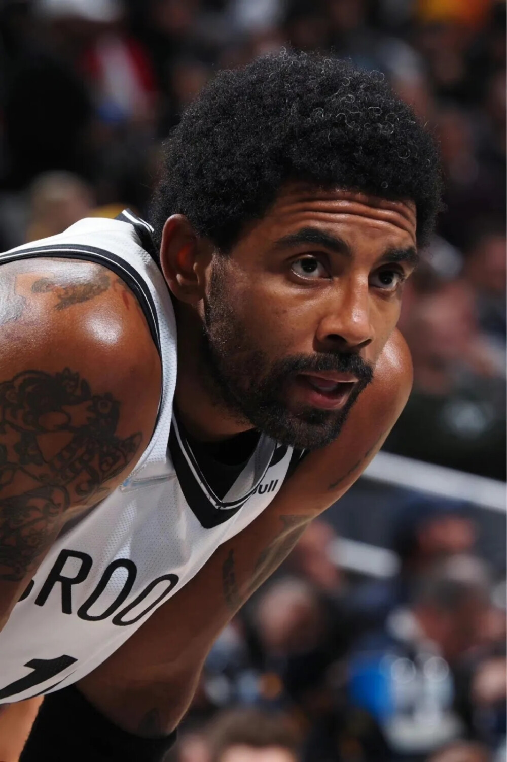 长离不开专 长离不开专