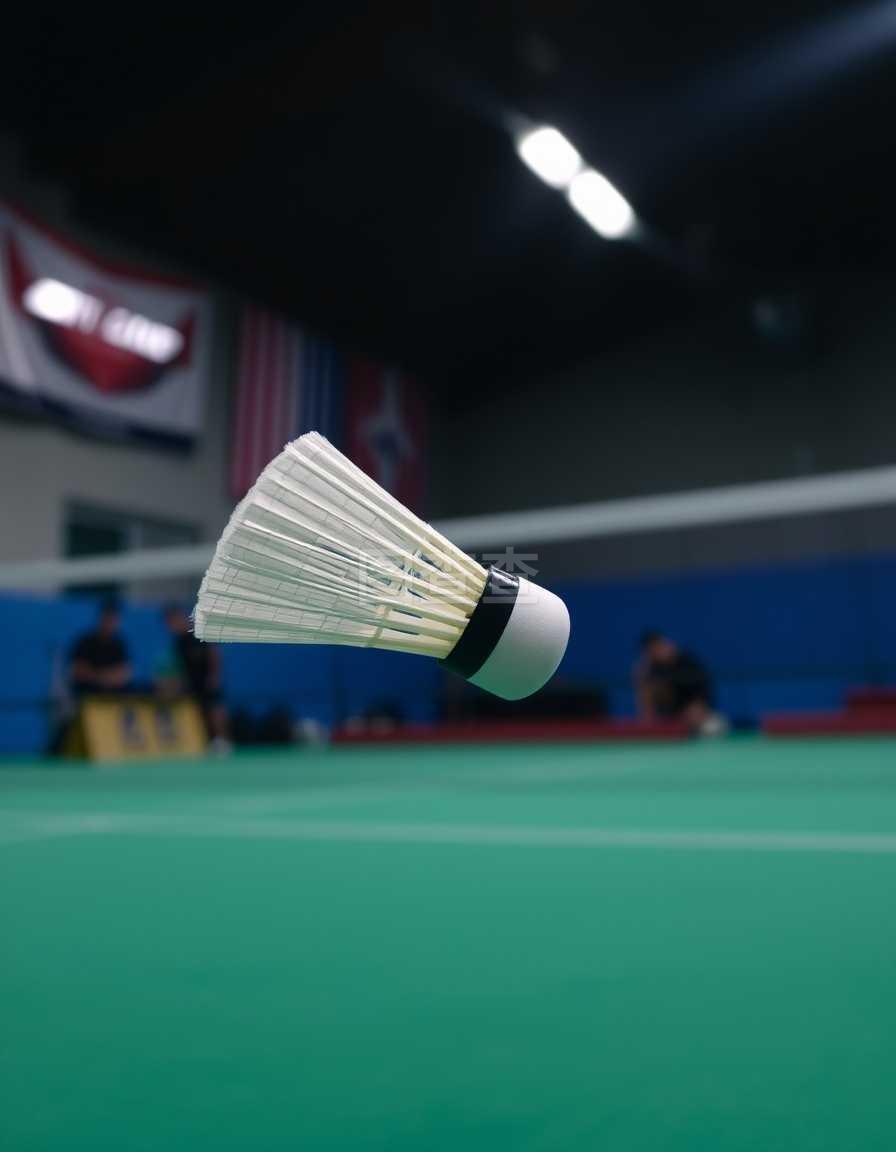 场上发挥了 场上发挥了